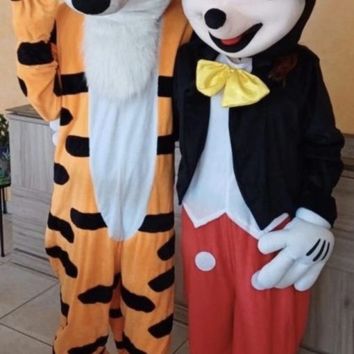 mascotte tigrou pour anniversaire enfant et animation commerciale à Pau-64