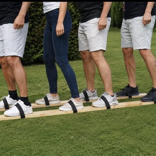 Location jeu de planche de skis géante a Pau 64