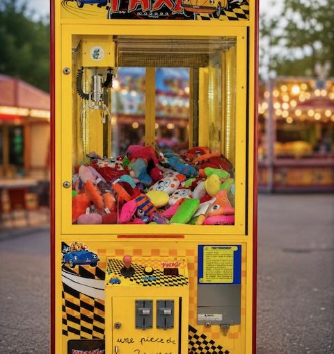 machine pince ou grue foraine pour peluche à Pau 64