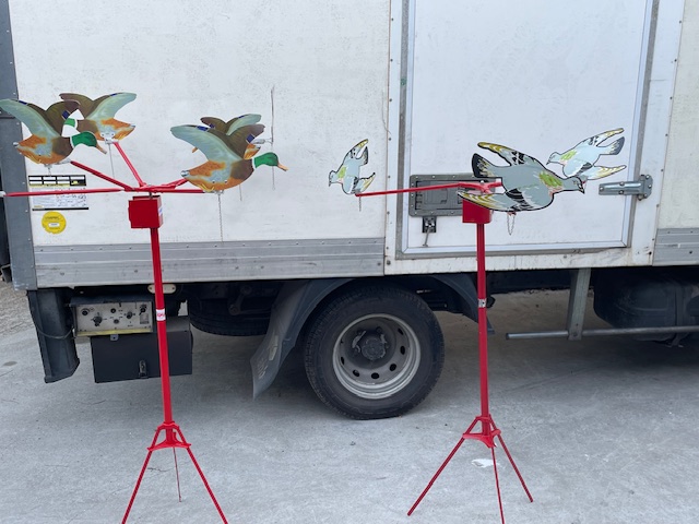 Jeu Tir aux Pigeons à Pau et Pays basque